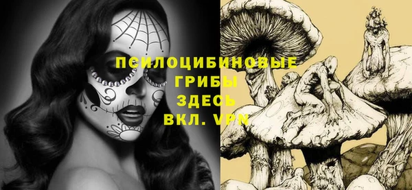МДМА Гусиноозёрск