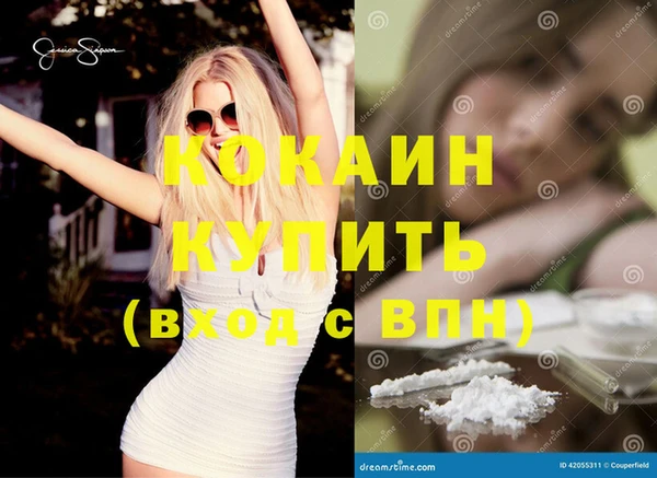 крисы Гусев