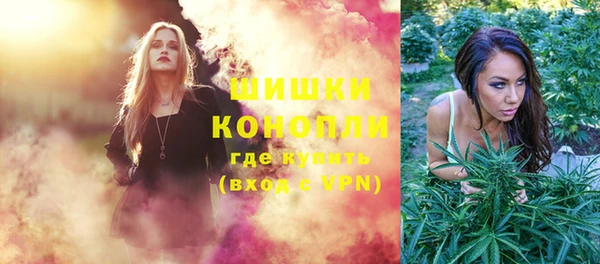 крисы Гусев