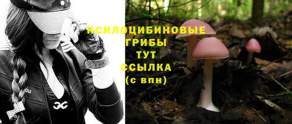 ALPHA PVP Зеленодольск