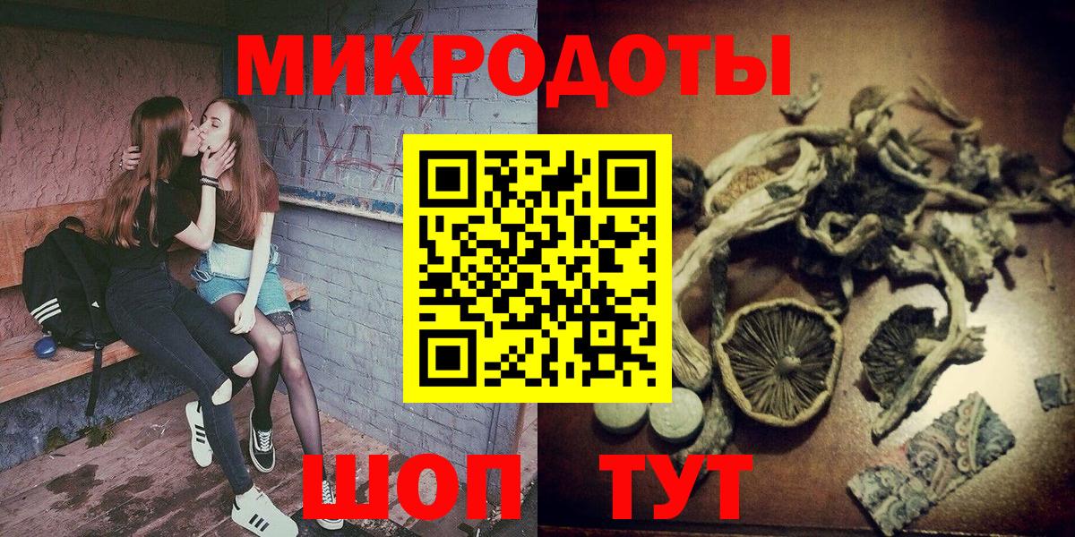 Москва  Псилоцибиновые грибы прущие грибы  Вход с VPN 