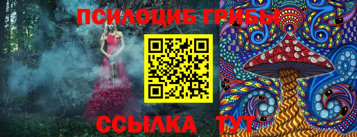 Галлюциногенные грибы мухоморы Москва