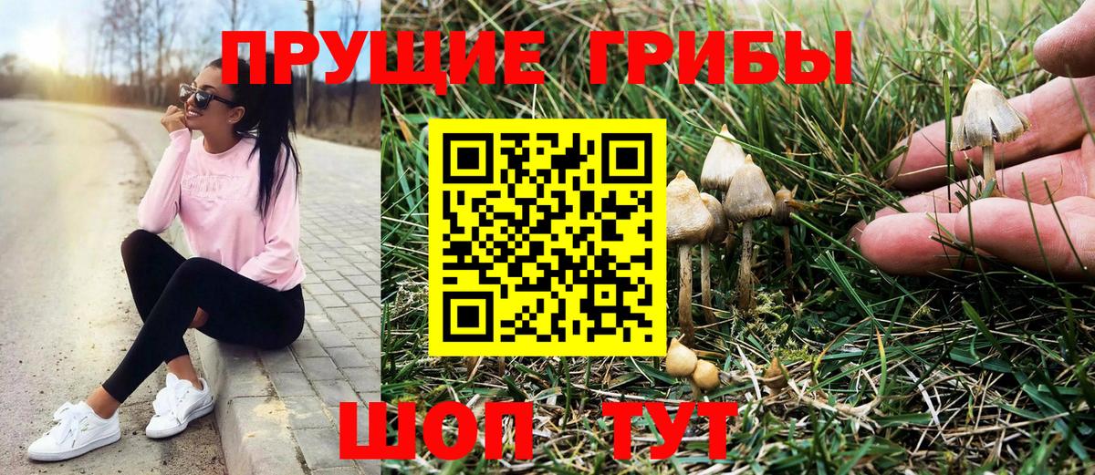 CBD масло  МДМА  А ПВП  COCAIN  Гашик  МАРИХУАНА  Как найти закладки?  Вход с VPN  Плюхи  Мефедрон  Мяу-Мяу  Москва  Каннабис 